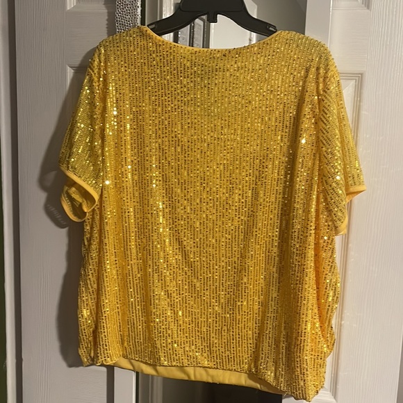 Ashely Stewart Sequence Top Plus Size 22/24 - Picture 2 of 3